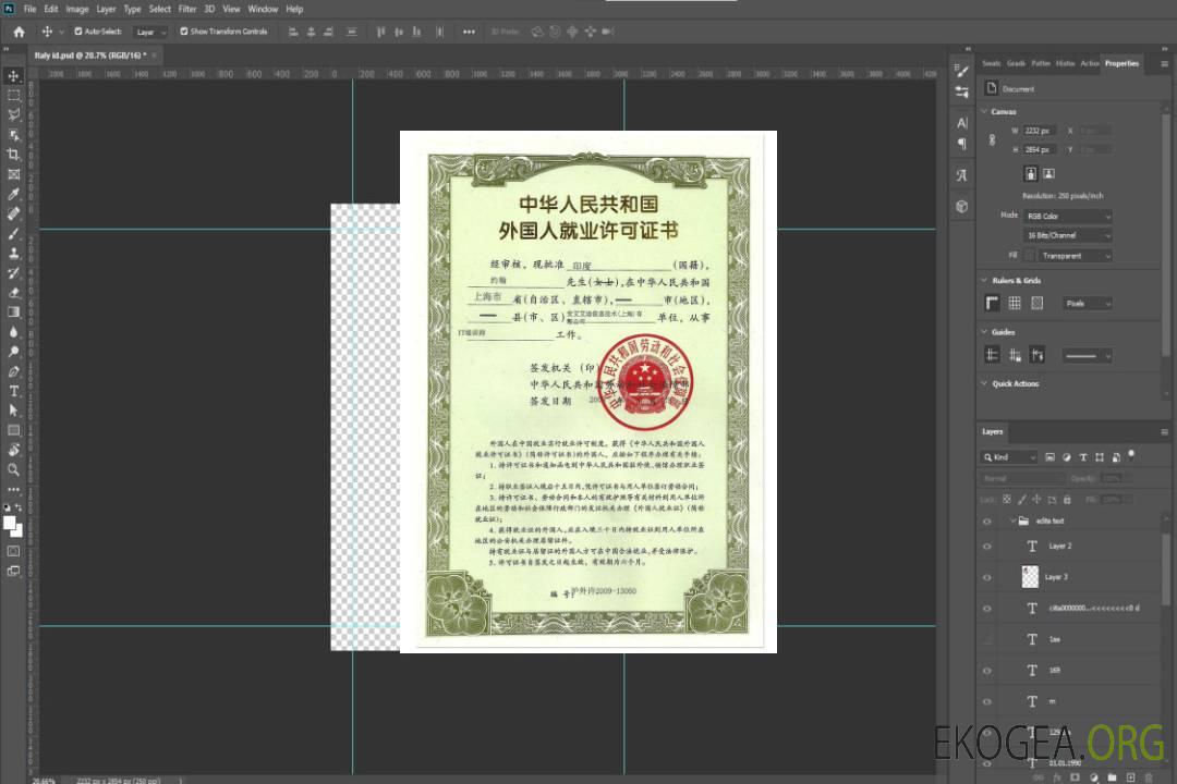 Permis de travail CHINE (visa de travail) template